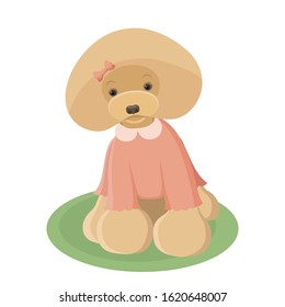 Cartoon red toy poodle illustration on white background. Dog vector illustration. Animal theme. Sitting red poodle vector image. Cute dog design. Pets design. Prints, greeting cards, T-shirt design.