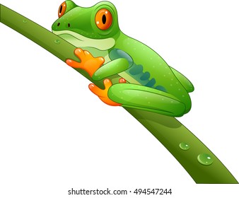 Cartoon red-Eyed Amazon