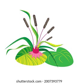 Cartoon reeds pond plant isolated icon on white background. Vector doodle illustration.