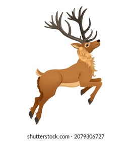 Cartoon reindeer with beautiful antlers is jumping. Doe animal. Christmas character cute deer isolated on white background. Vector illustration.
