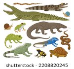 Cartoon reptile and amphibian, lizard, snake, chameleon. Wild animals, turtle, frog and crocodile flat vector illustration set. Amphibian and reptile collection