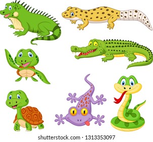 Cartoon reptiles and amphibians collection set