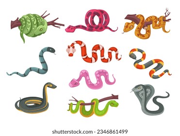 Cartoon reptiles. Different types color snakes. Poisonous and suffocating animals. Scaly creature with venom. Terrarium serpent. Predator on branch. Cobra and python