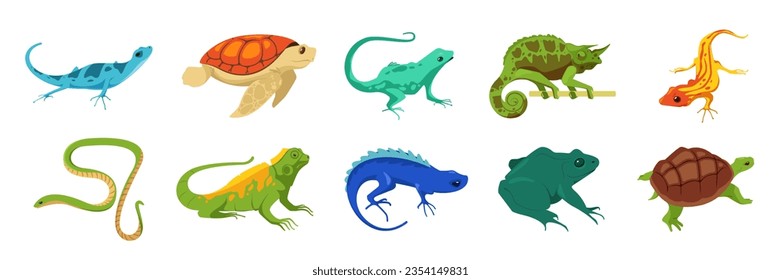 Cartoon reptiles. Exotic wild and domestic animals, crocodile iguana turtle alligator gecko snake frog salamander. Vector isolated set of reptile exotic cartoon illustration