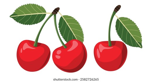 Cartoon Ripe Cherries and Bunches