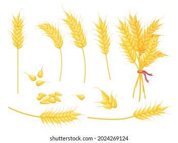 Cartoon Ripe Gold Wheat Plant, Grain And Ear. Yellow Single Spikelet, Bouquet And Seed. Farm Crop, Bakery And Agricultural Symbol Vector Set. Illustration Of Wheat Grain, Gold Seed