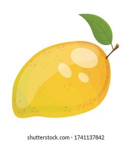 Fruto de mango maduro, ilustración vectorial