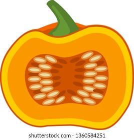 Cartoon ripe orange pumpkin cut in half