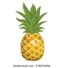 Cartoon ripe pineapple fruit, vector illustration