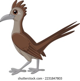 Cartoon roadrunner bird on white background