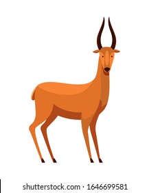 Cartoon roe deer with horns and scared muzzle. Adult wild forest prairie animal character isolated on white. Wildlife and zoology. Zoo creature. Trial hunt character. Vector flat illustration