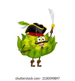 Cartoon romanesco cabbage pirate captain. Vector happy corsair with saber, smiling vegetable character, buccaneer in cocked hat. Isolated freebooter or picaroon personage holding with sword in hand