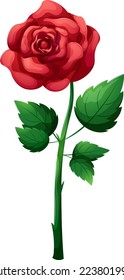 Cartoon romantic red rose with stem isolated