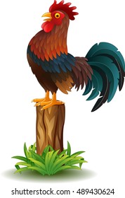 Cartoon rooster crowing isolated on white background