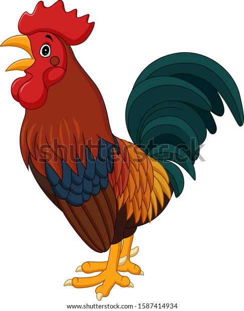 Cartoon Rooster Crowing Isolated On White Stock Vector (Royalty Free ...