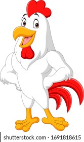 Cartoon rooster posing isolated on white background 