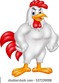 Cartoon rooster posing isolated on white background 