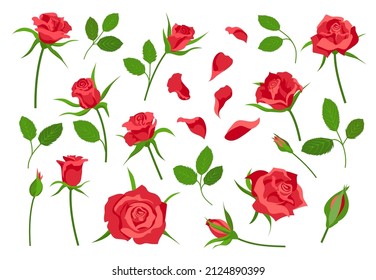 Cartoon rose flower elements, leaves, stem, petals and buds. Red blooming roses for bouquet decoration. Romantic floral symbol vector set. Illustration of flower cartoon isolated