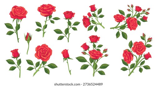 Tallo de rosas de dibujos animados. Rama de tallo de rosa roja, flor de flor de jardín sin abrir bud queen flowers bouquet con hojas verdes espina aislada conjunto floral romántico regalo Ilustración vectorial ordenada