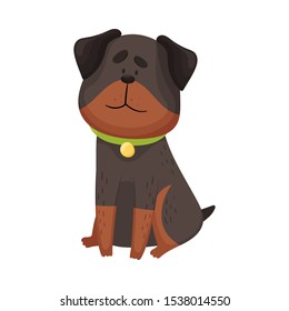 Cartoon Rottweiler. Vector illustration on a white background.
