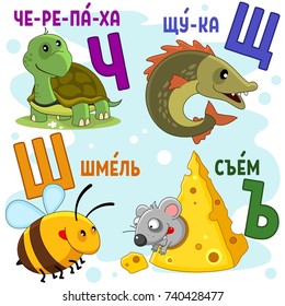 Cartoon Russian alphabet for children with letters and pictures of a turtle, a pike, a bee, a bumblebee and a mouse.