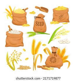 Cartoon sacks with wheat. Sack with sheaf spikelet plant flour oat grain cereals rice, farming bag harvest grains of breed, sackful bags barley seed, vector illustration. Wheat bag and barley grain