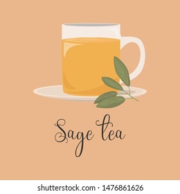 Cartoon sage tea isolated vector illustration.