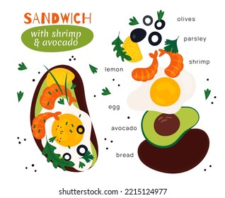 Cartoon sandwich recipe elements. Different tasty ingredients. Avocado and shrimps. Quick snack constructor. Bruschetta with vegetables and egg. Garish vector meal