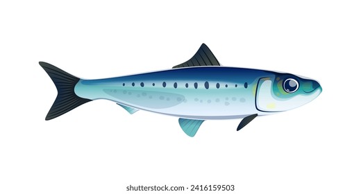 Cartoon sardine fish character. Sea wildlife, ocean animal, fishing catch isolated vector personage. Aquatic life, underwater nature cute cheerful mascot or sardine comical character