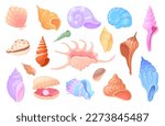 Cartoon scallops. Tropical concha sea snail oyster clam scallop seashells, mollusks spiral shells aquarium or underwater wildlife, colorful conch neat vector illustration of sea scallop marine