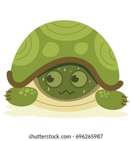 cartoon scared turtle hiding in its shell