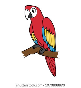 Cartoon Scarlet Macaw Parrot Vector Illustration Stock Vector (Royalty ...