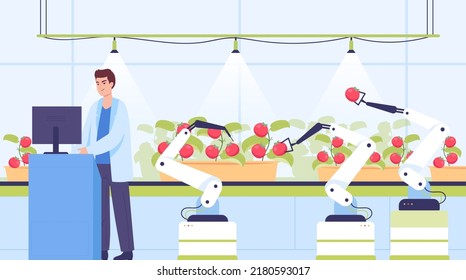 Cartoon Scientist Controlling Automatic Harvesting Tomatoes Stock ...