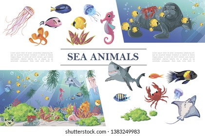 Cartoon sea animals composition with shark colorful fishes jellyfishes dolphin seal stingray seahorse crab seaweeds corals vector illustration