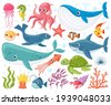 aquatic animals isolated