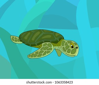 cartoon sea colorful turtle, stock vector
