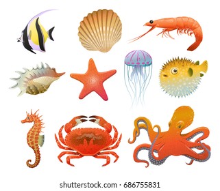 Cartoon Sea Fauna Elements Set