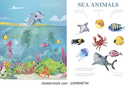 Cartoon sea life colorful concept with fishes marine underwater animals and creatures seaweeds corals vector illustration