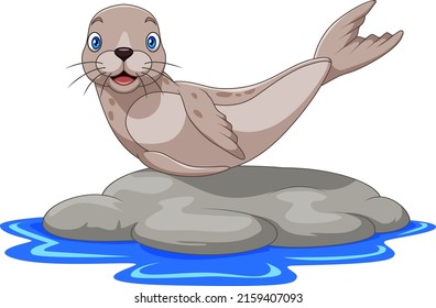 Cartoon sea lion on the rock