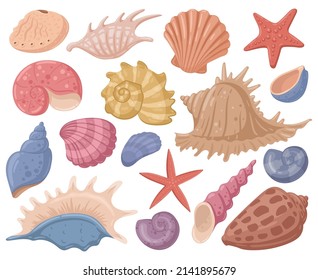 Cartoon sea shell, starfish, marine mollusks shells, underwater clams. Summer beach seashells, ocean mollusks sea shells vector symbols illustrations. Marine seashells set