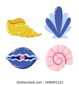 Cartoon sea shells collection. Vector illustration