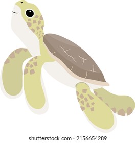 cartoon sea turtle baby swimming, vector illustration isolated on white, vector illustration in childish style for kids