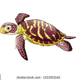 Cartoon sea turtle isolated on white background