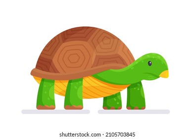 Tortuga marina de dibujos animados aislada en un fondo blanco.