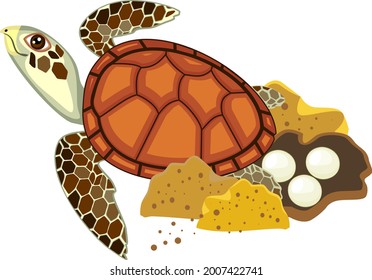 Cartoon sea turtle laying eggs in sand