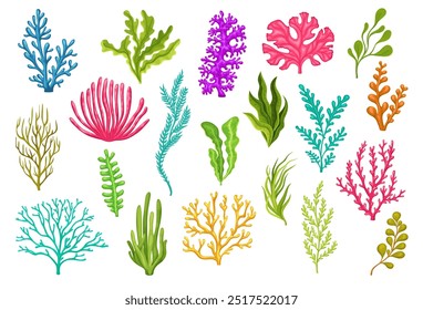 Plantas de algas marinhas subaquáticas de desenhos animados. Vetor isolado de aquário, recife de coral vida selvagem biodiversidade natureza. Vida oceânica e submarina, ervas daninhas e fendas, laminária, algas, flora marinha