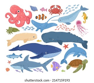 Cartoon sea, underwater life, marine animals, turtle and dolphin. Ocean wild life, underwater animals, shark, whale, octopus and fish vector symbols illustrations set. Marine underwater creatures