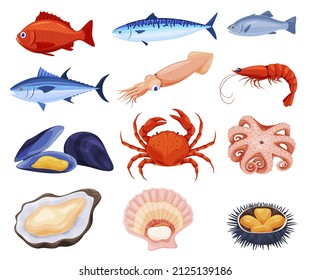 Cartoon seafood collection vector flat illustration. Set of red and white fish, tilapia, squid, salmon, oyster, mussel, shrimp, octopus isolated on white. Marine habitats delicious eco friendly meal