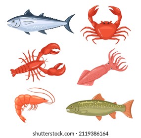 Cartoon seafood. Fresh fish, lobster, crab and red tuna. Raw products for shop or restaurant. Healthy food as shrimps and squids for delicacy dishes. Aquatic creatures for market vector set