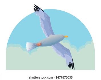 cartoon seagull bird flying in the sky  vector illustration graphic design.